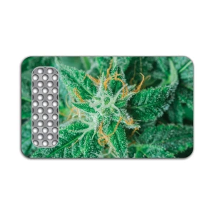 Grinder karta V-Syndicate AK47