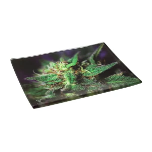 Tacka szklana V-Syndicate Small Blue Dank