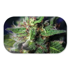 Pokrywka magnesowa V-Syndicate Blue Dream 27x16